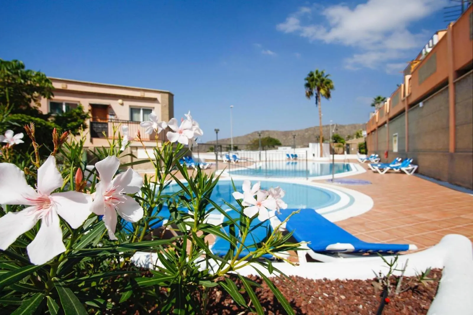 Sunshine Apartment With Sea Viev Costa Adeje